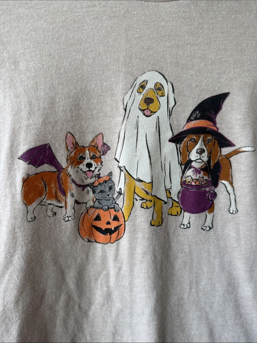 J. Crew Collectors Tee Beige Halloween Dogs pumpkin corgi retriever small